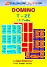 Domino_T-ZE_12.pdf